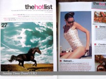 sundaytimes Sunday Times Travel (UK)